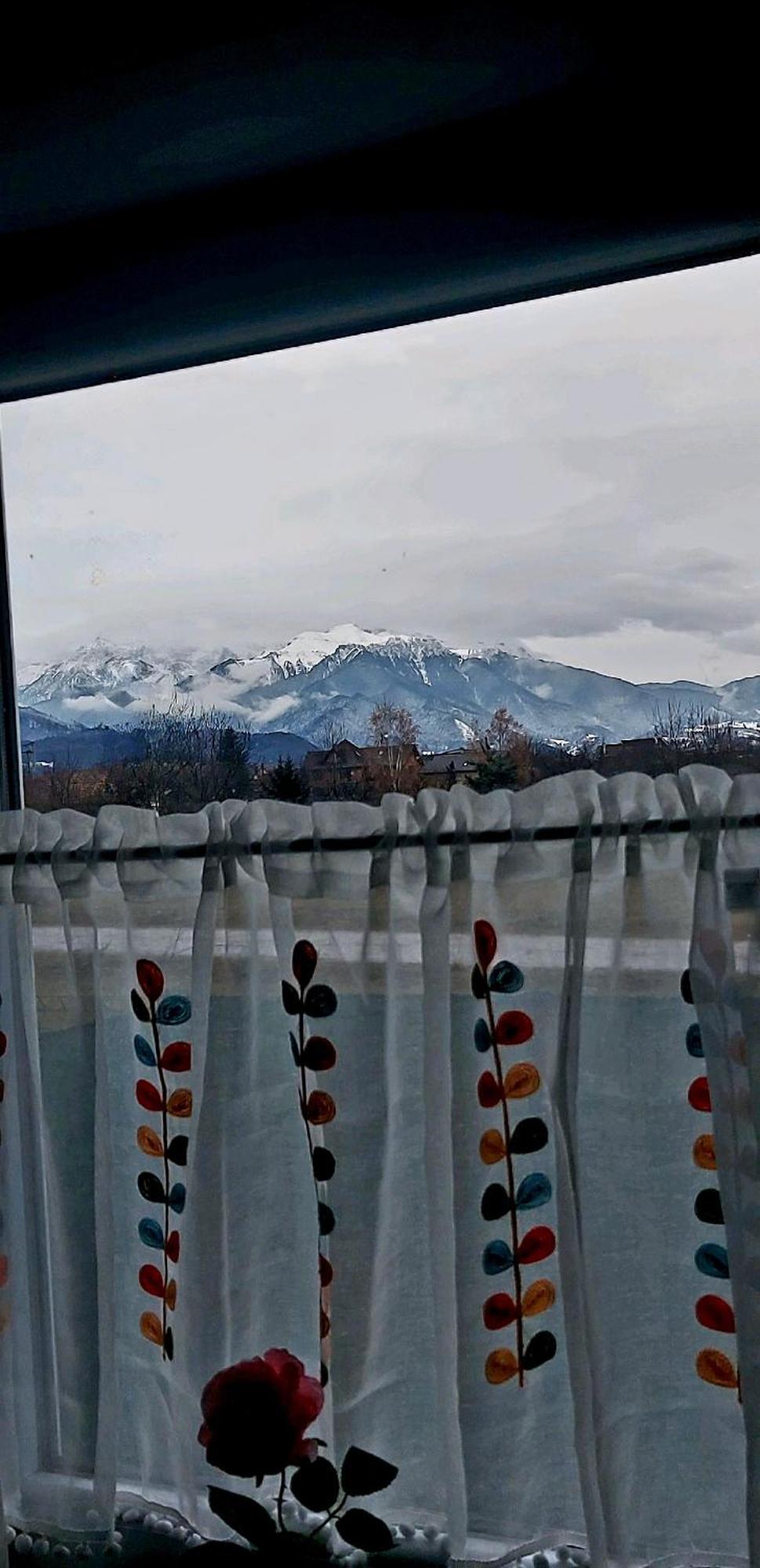 Das Home Rîşnov Extérieur photo